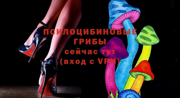 стаф Дмитриев