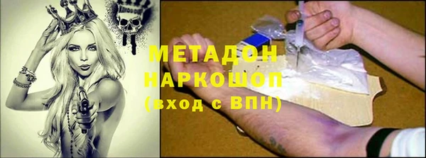 сатива Елизово