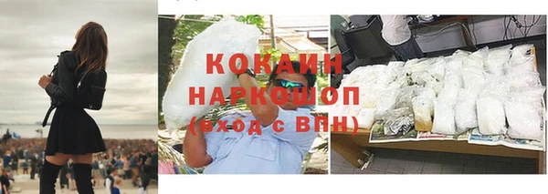 сатива Елизово
