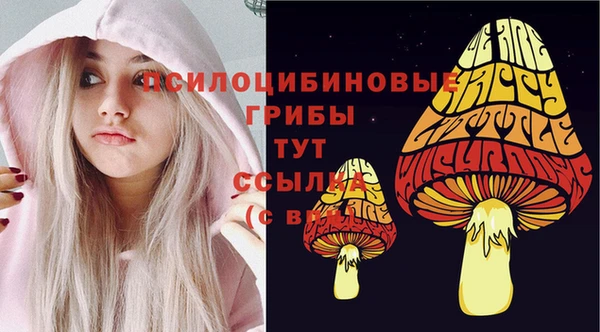 герыч Елабуга