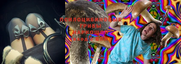 сатива Елизово