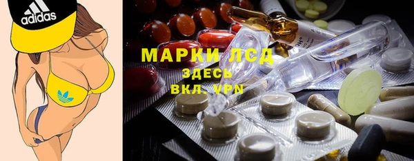 сатива Елизово